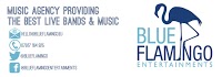 Blue Flamingo Entertainments Ltd 1085307 Image 0